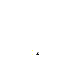 C333