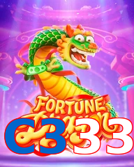 C333