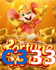 C333