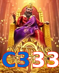 C333