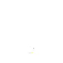 C333