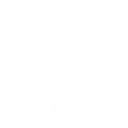 C333