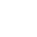 C333