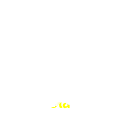 C333